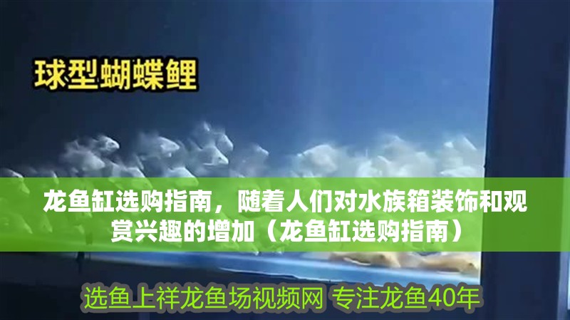 龍魚缸選購指南，隨著人們對水族箱裝飾和觀賞興趣的增加（龍魚缸選購指南）