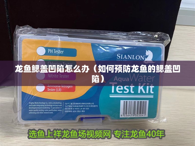 龍魚鰓蓋凹陷怎么辦（如何預(yù)防龍魚的鰓蓋凹陷）