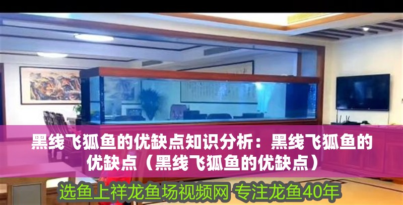 黑線飛狐魚的優缺點知識分析：黑線飛狐魚的優缺點（黑線飛狐魚的優缺點）