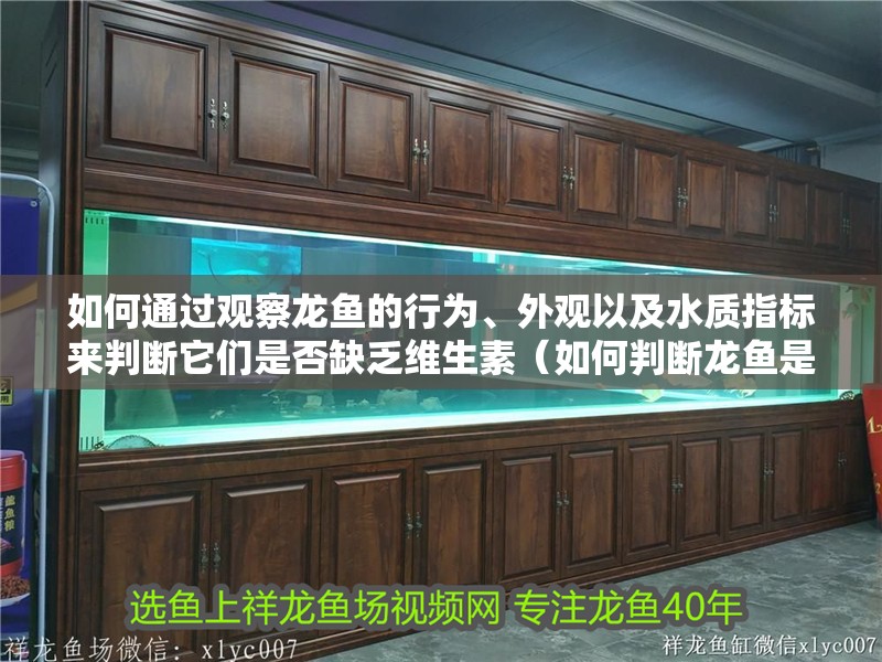 如何通過(guò)觀察龍魚(yú)的行為、外觀以及水質(zhì)指標(biāo)來(lái)判斷它們是否缺乏維生素（如何判斷龍魚(yú)是否缺乏維生素）