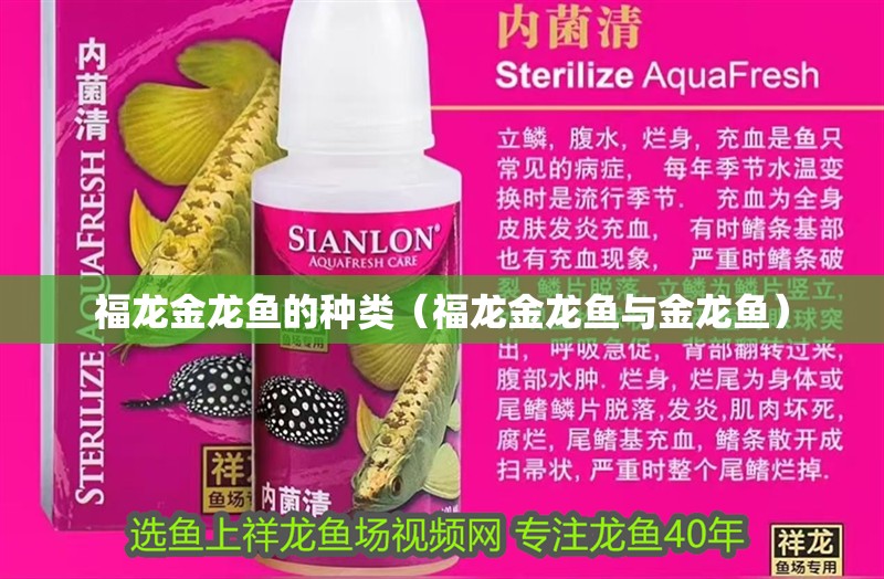 福龍金龍魚的種類（福龍金龍魚與金龍魚） 福龍金龍魚的種類（福龍金龍魚與金龍魚） 觀賞魚百科