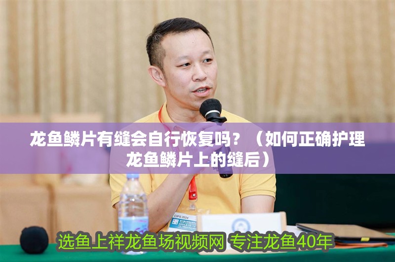 龍魚鱗片有縫會自行恢復嗎？（如何正確護理龍魚鱗片上的縫后）
