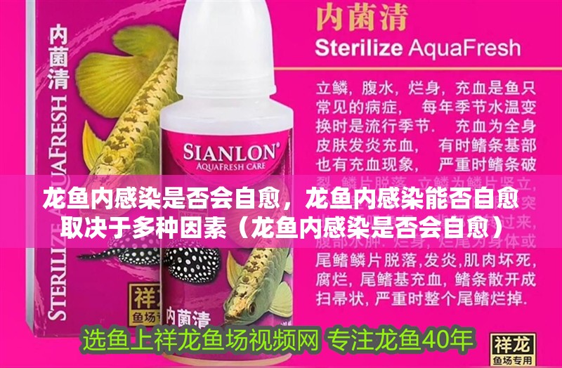 龍魚(yú)內(nèi)感染是否會(huì)自愈，龍魚(yú)內(nèi)感染能否自愈取決于多種因素（龍魚(yú)內(nèi)感染是否會(huì)自愈）