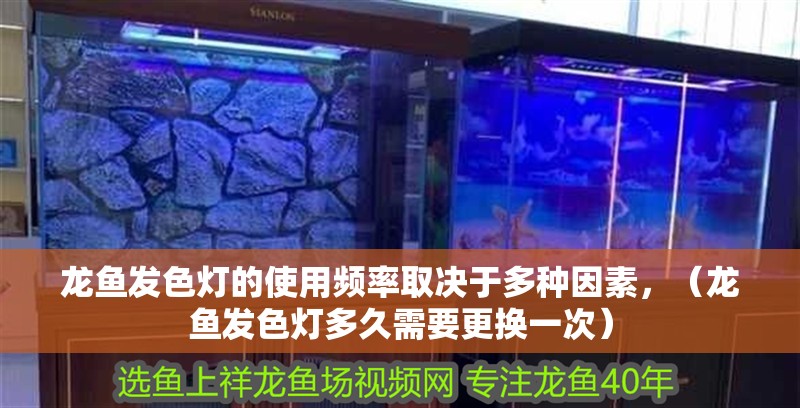 龍魚發色燈的使用頻率取決于多種因素，（龍魚發色燈多久需要更換一次）