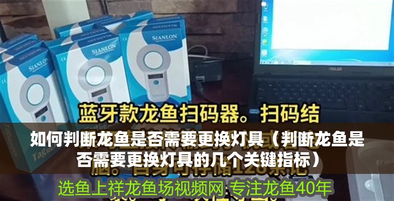 魚(yú)缸過(guò)濾器選購(gòu)指南:自制魚(yú)缸過(guò)濾器魚(yú)缸上置過(guò)濾器對(duì)于養(yǎng)魚(yú)愛(ài)好者的必備知識(shí) 如何判斷龍魚(yú)是否需要更換燈具(判斷龍魚(yú)是否需要更換燈具的幾個(gè)關(guān)鍵指標(biāo)) 龍魚(yú)百科 如何判斷龍魚(yú)是否需要更換燈具(判斷龍魚(yú)是否需要更換燈具的幾個(gè)關(guān)鍵指標(biāo)) 如何判斷龍魚(yú)是否需要更換燈具(判斷龍魚(yú)是否需要更換燈具的幾個(gè)關(guān)鍵指標(biāo)) 龍魚(yú)百科