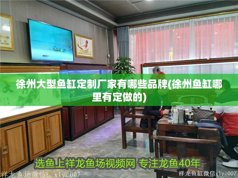 徐州大型魚缸定制廠家有哪些品牌(徐州魚缸哪里有定做的)