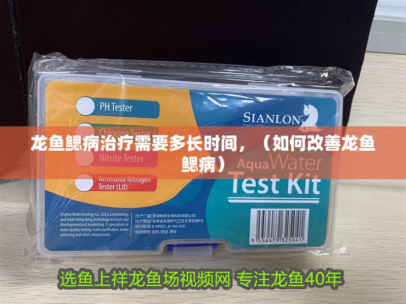龍魚鰓病治療需要多長時間，（如何改善龍魚鰓病）