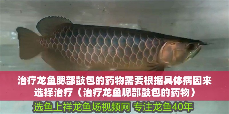 治療龍魚腮部鼓包的藥物需要根據具體病因來選擇治療（治療龍魚腮部鼓包的藥物）
