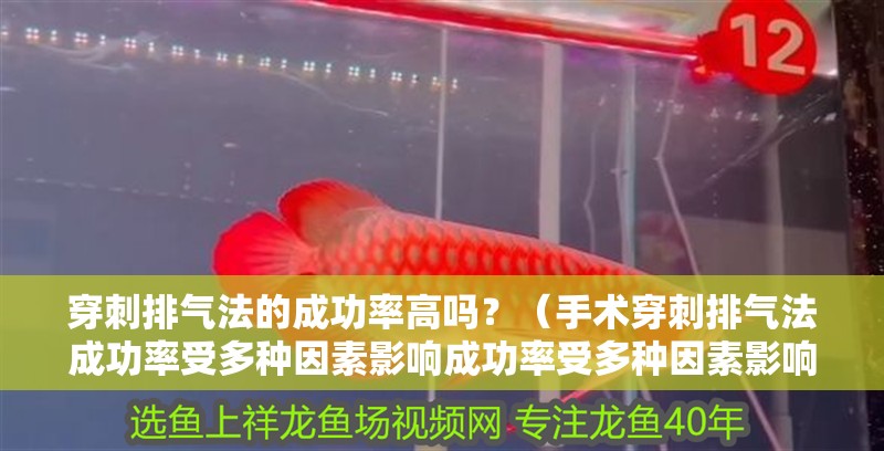 穿刺排氣法的成功率高嗎？（手術穿刺排氣法成功率受多種因素影響成功率受多種因素影響）