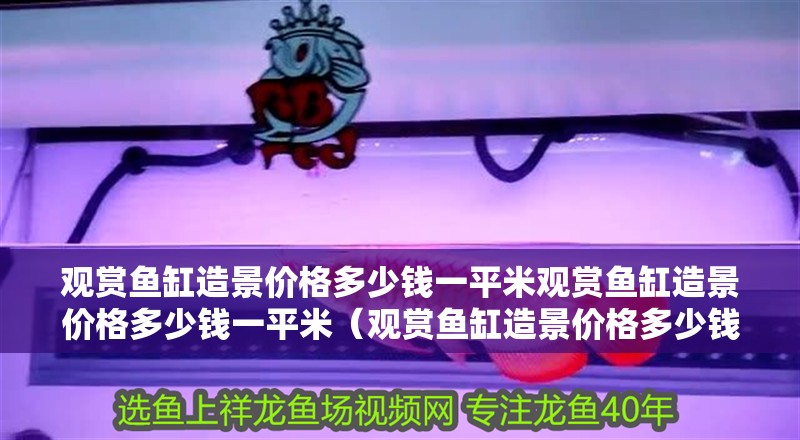 觀(guān)賞魚(yú)缸造景價(jià)格多少錢(qián)一平米觀(guān)賞魚(yú)缸造景價(jià)格多少錢(qián)一平米（觀(guān)賞魚(yú)缸造景價(jià)格多少錢(qián)一平）