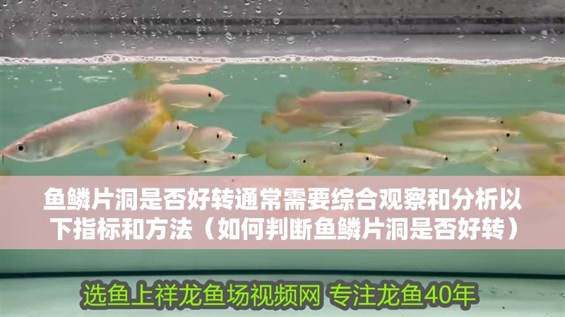 魚鱗片洞是否好轉通常需要綜合觀察和分析以下指標和方法（如何判斷魚鱗片洞是否好轉）