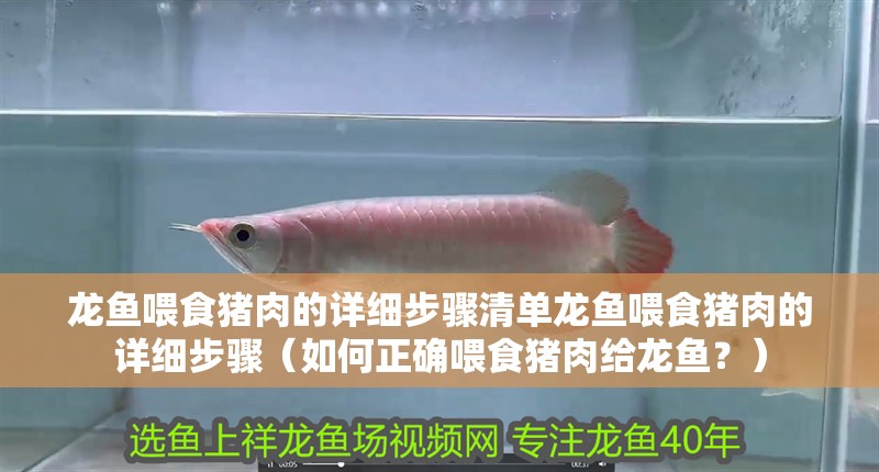 龍魚喂食豬肉的詳細步驟清單龍魚喂食豬肉的詳細步驟（如何正確喂食豬肉給龍魚？） 龍魚喂食豬肉的詳細步驟清單龍魚喂食豬肉的詳細步驟（如何正確喂食豬肉給龍魚？） 龍魚百科