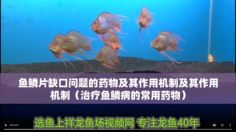 魚鱗片缺口問題的藥物及其作用機制及其作用機制（治療魚鱗病的常用藥物）