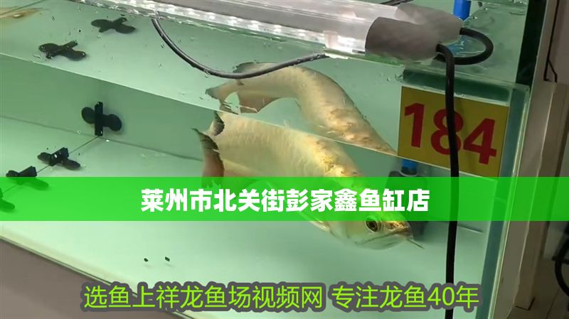 萊州市北關(guān)街彭家鑫魚缸店