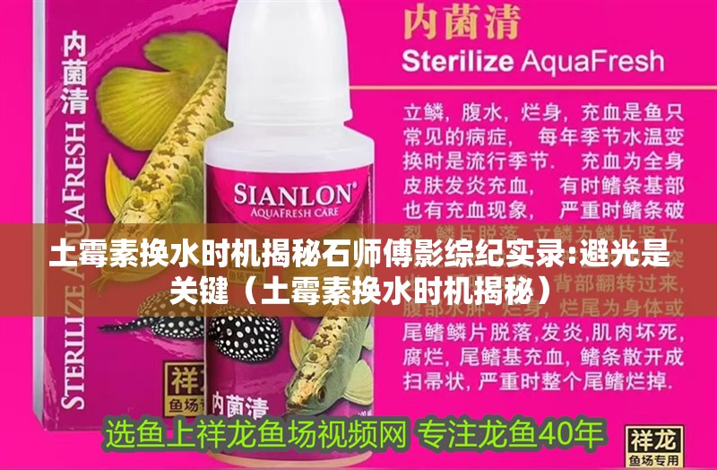 土霉素?fù)Q水時機揭秘石師傅影綜紀(jì)實錄:避光是關(guān)鍵（土霉素?fù)Q水時機揭秘）