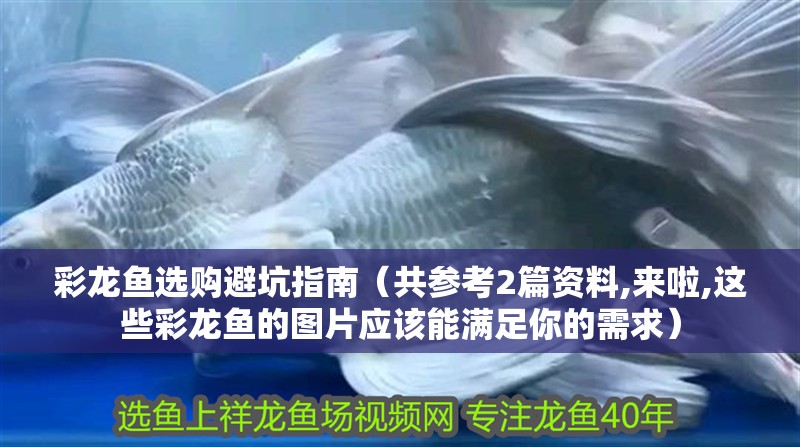 彩龍魚(yú)選購(gòu)避坑指南（共參考2篇資料,來(lái)啦,這些彩龍魚(yú)的圖片應(yīng)該能滿足你的需求）