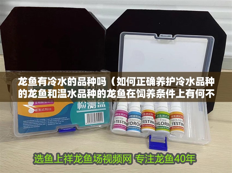 龍魚有冷水的品種嗎（如何正確養護冷水品種的龍魚和溫水品種的龍魚在飼養條件上有何不同）