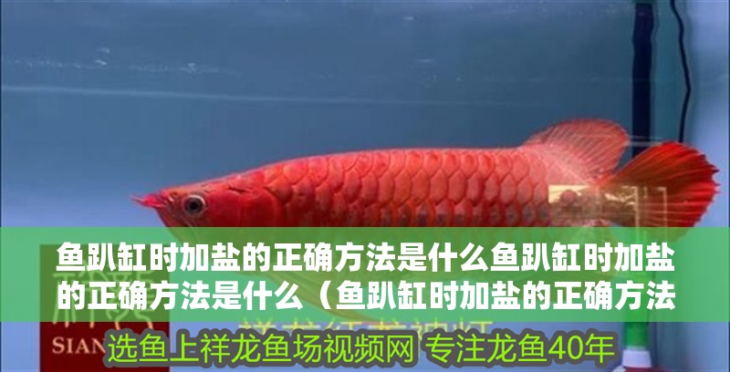 魚趴缸時加鹽的正確方法是什么魚趴缸時加鹽的正確方法是什么（魚趴缸時加鹽的正確方法）