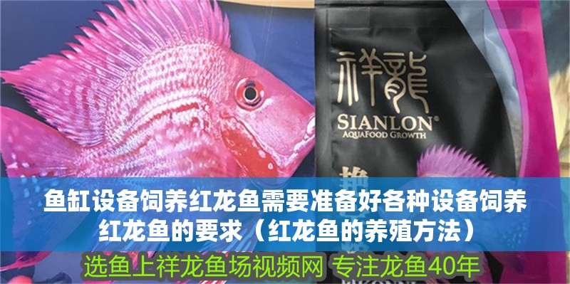 魚缸設備飼養紅龍魚需要準備好各種設備飼養紅龍魚的要求（紅龍魚的養殖方法）