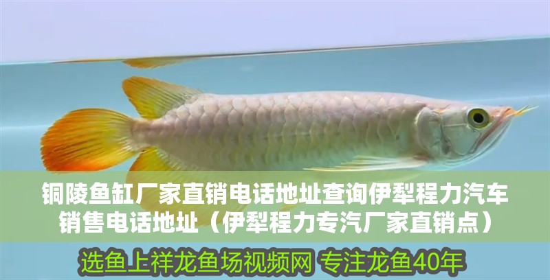 銅陵魚缸廠家直銷電話地址查詢<strong><mark>伊犁</mark></strong>程力汽車銷售電話地址（<strong><mark>伊犁</mark></strong>程力專汽廠家直銷點）