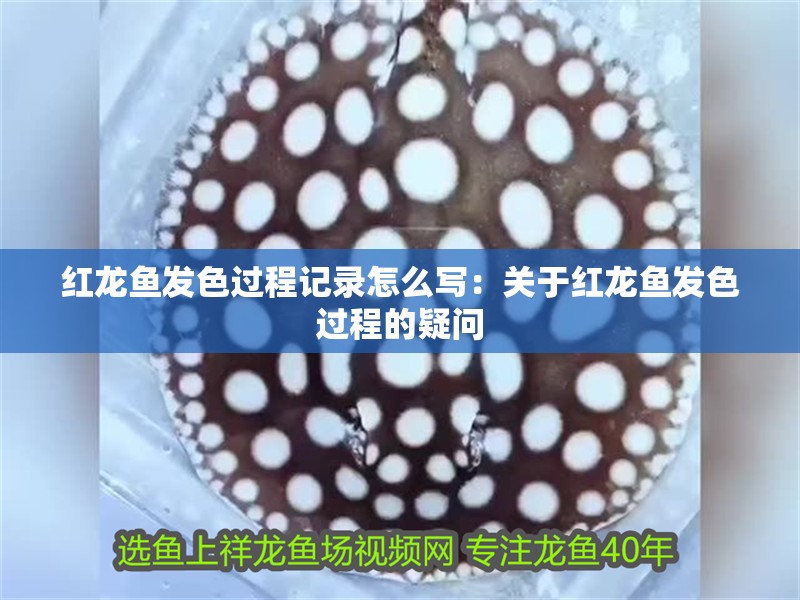 紅龍魚發(fā)色過程記錄怎么寫：關(guān)于紅龍魚發(fā)色過程的疑問