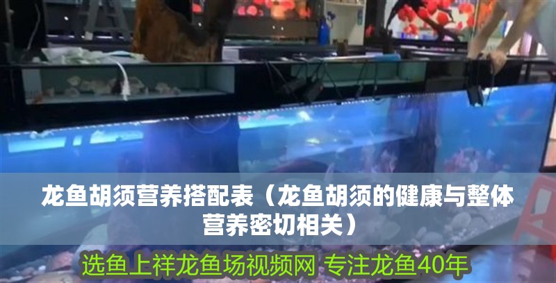 龍魚胡須營養搭配表（龍魚胡須的健康與整體營養密切相關）