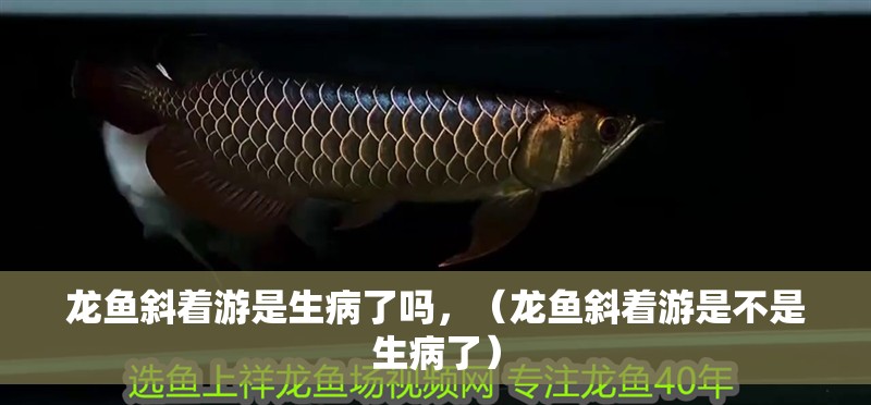 龍魚斜著游是生病了嗎，（龍魚斜著游是不是生病了）