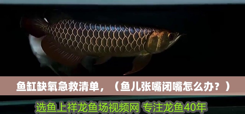 魚缸缺氧急救清單，（魚兒張嘴閉嘴怎么辦？）