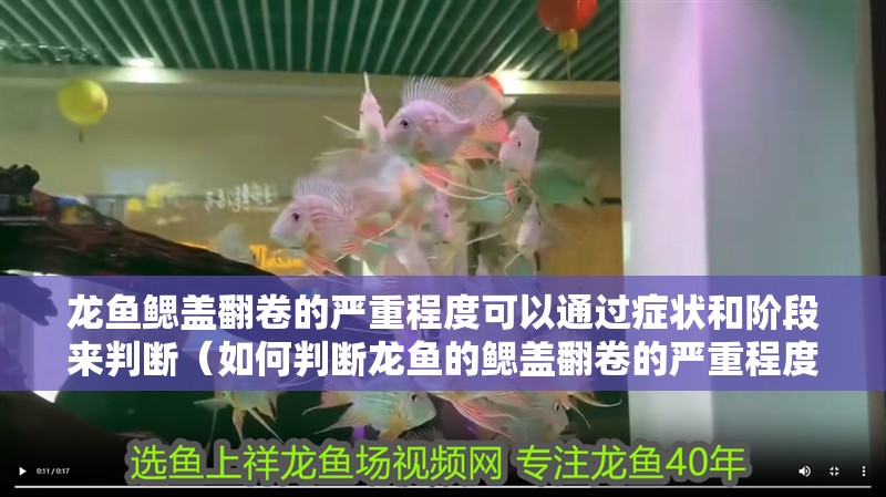 龍魚鰓蓋翻卷的嚴重程度可以通過癥狀和階段來判斷（如何判斷龍魚的鰓蓋翻卷的嚴重程度）