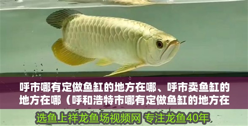 呼市哪有定做魚(yú)缸的地方在哪、呼市賣(mài)魚(yú)缸的地方在哪（呼和浩特市哪有定做魚(yú)缸的地方在哪、呼市賣(mài)魚(yú)缸的地方在哪）