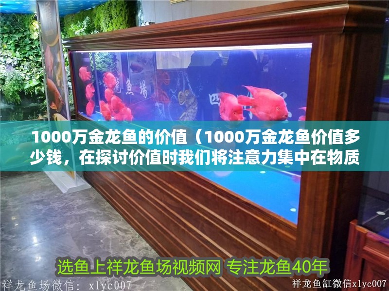 1000萬金龍魚的價(jià)值（1000萬金龍魚價(jià)值多少錢，在探討價(jià)值時(shí)我們將注意力集中在物質(zhì)上）