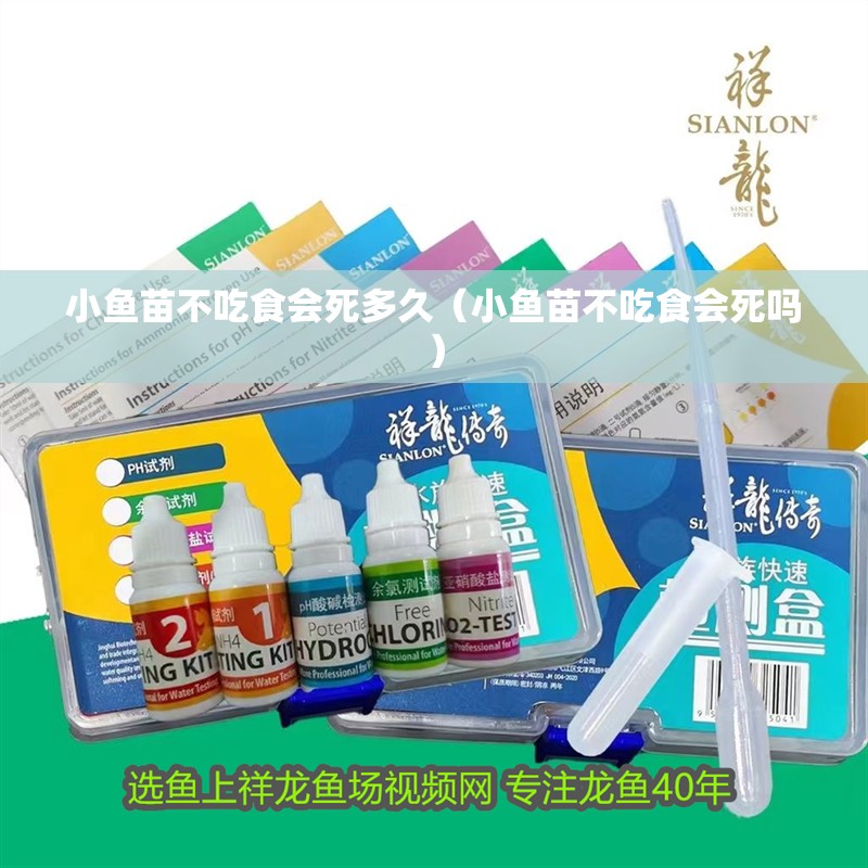 龍魚干蝦有營養嗎 小魚苗不吃食會死多久(小魚苗不吃食會死嗎) 龍魚百科 小魚苗不吃食會死多久(小魚苗不吃食會死嗎) 小魚苗不吃食會死多久(小魚苗不吃食會死嗎) 龍魚百科