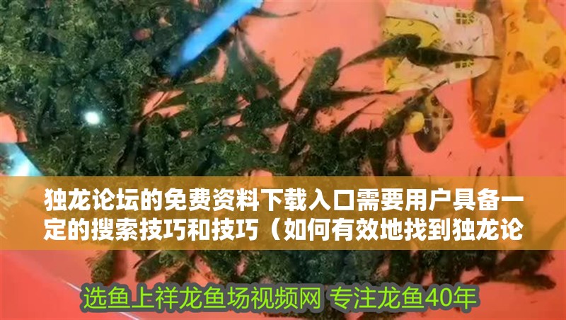 獨(dú)龍論壇的免費(fèi)資料下載入口需要用戶具備一定的搜索技巧和技巧（如何有效地找到獨(dú)龍論壇的免費(fèi)資料下載入口？）