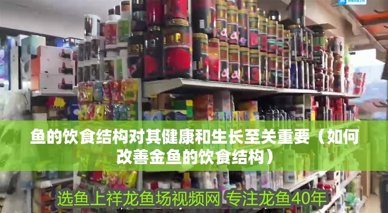 魚的飲食結構對其健康和生長至關重要（如何改善金魚的飲食結構）