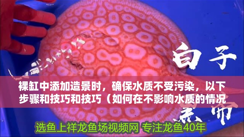 裸缸中添加造景時，確保水質不受污染，以下步驟和技巧和技巧（如何在不影響水質的情況下進行裸缸造景）