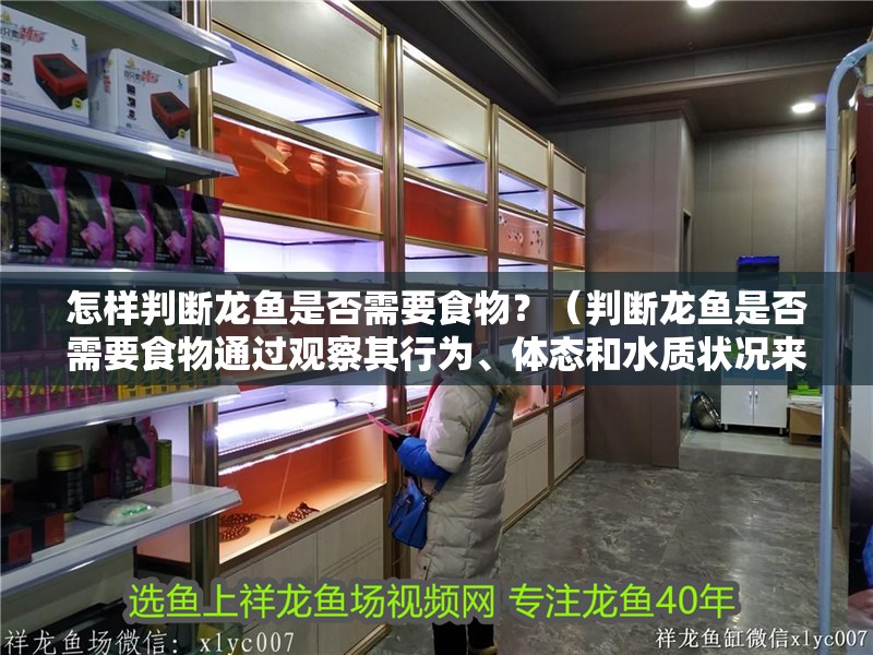 怎樣判斷龍魚是否需要食物？（判斷龍魚是否需要食物通過觀察其行為、體態和水質狀況來進行）
