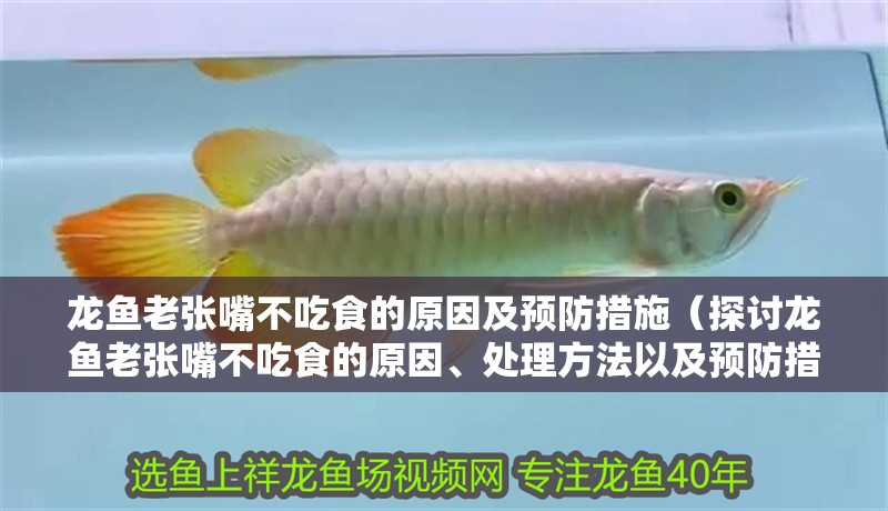 龍魚老張嘴不吃食的原因及預(yù)防措施（探討龍魚老張嘴不吃食的原因、處理方法以及預(yù)防措施）