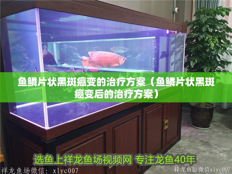 魚鱗片狀黑斑癌變的治療方案（魚鱗片狀黑斑癌變后的治療方案）