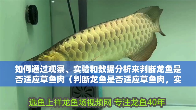 如何通過觀察、實驗和數據分析來判斷龍魚是否適應草魚肉（判斷龍魚是否適應草魚肉，實驗和數據分析來評估龍魚對草魚肉的適應性）