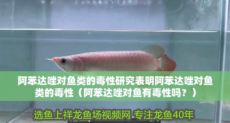 阿苯達(dá)唑?qū)︳~(yú)類的毒性研究表明阿苯達(dá)唑?qū)︳~(yú)類的毒性（阿苯達(dá)唑?qū)︳~(yú)有毒性嗎？）