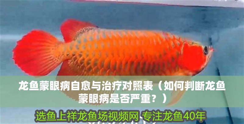 龍魚蒙眼病自愈與治療對照表（如何判斷龍魚蒙眼病是否嚴重？）