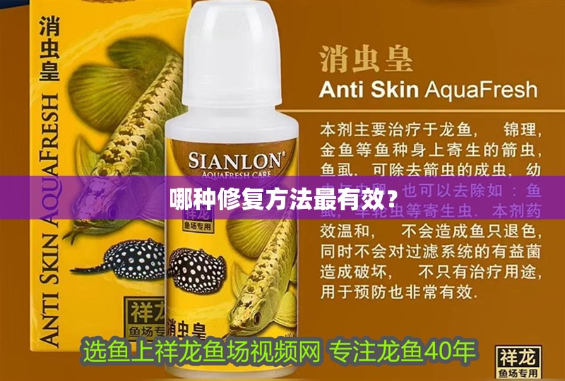 哪種修復(fù)方法最有效？