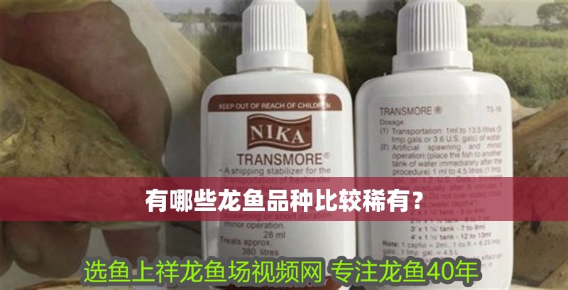 有哪些龍魚品種比較稀有？