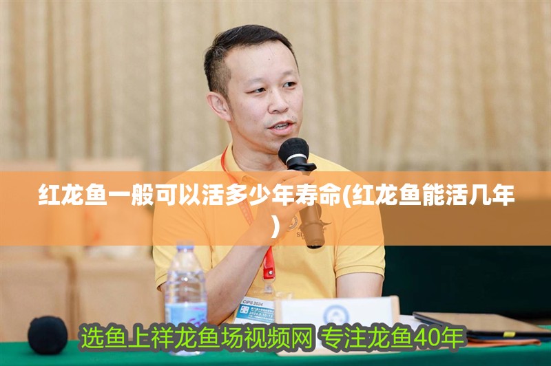 紅龍魚(yú)一般可以活多少年壽命(紅龍魚(yú)能活幾年) 紅龍魚(yú)一般可以活多少年壽命(紅龍魚(yú)能活幾年) 觀賞魚(yú)百科