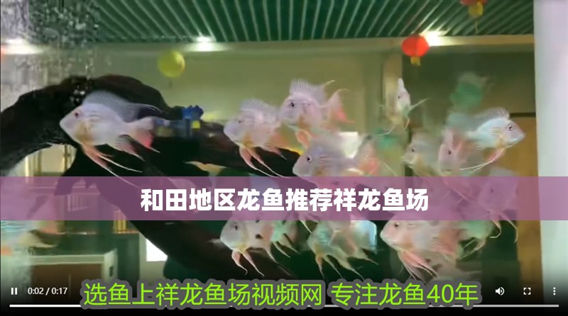 和田地區龍魚推薦祥龍魚場