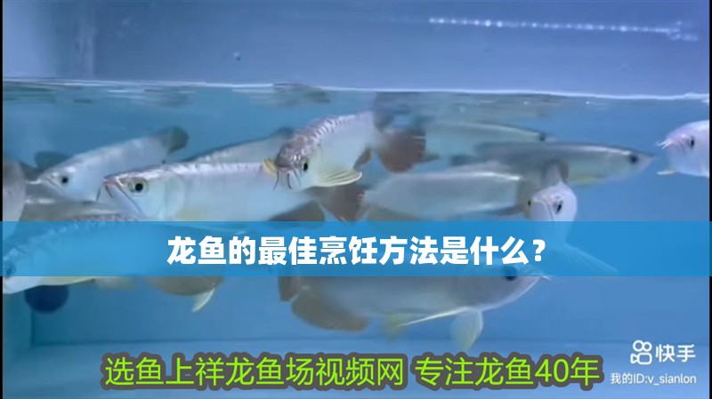 龍魚的最佳烹飪方法是什么？