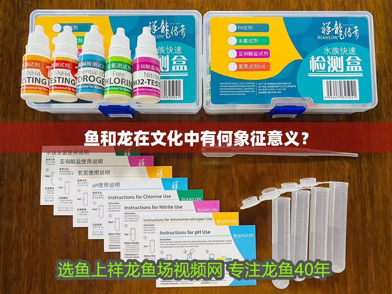 魚和龍在文化中有何象征意義？