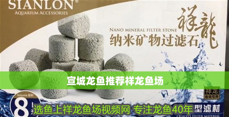 宣城龍魚推薦祥龍魚場