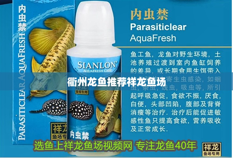 <strong><mark>衢州</mark></strong>龍魚推薦祥龍魚場