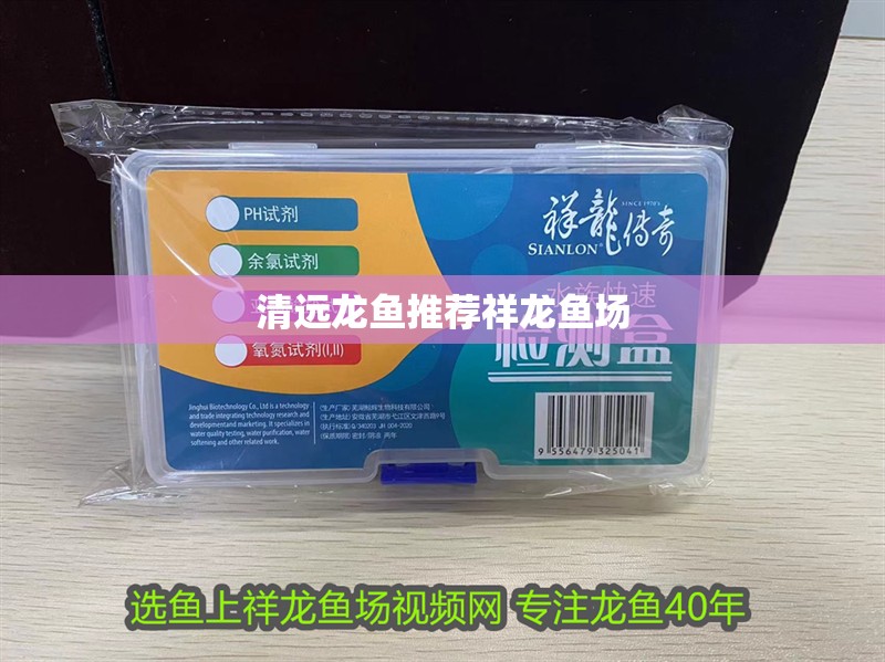 清遠龍魚推薦祥龍魚場